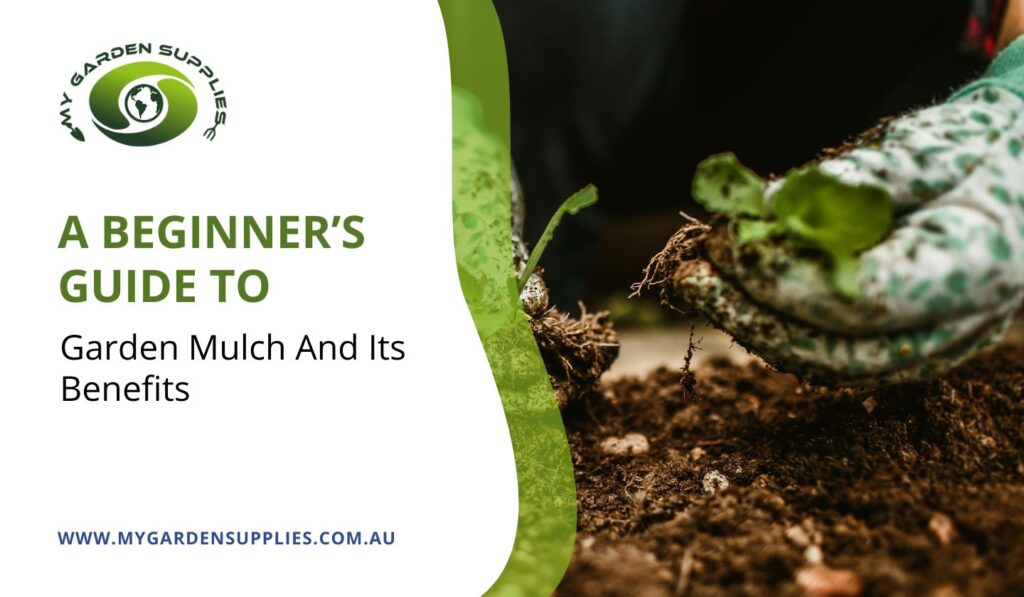 A Beginner’s Guide To Garden Mulch
