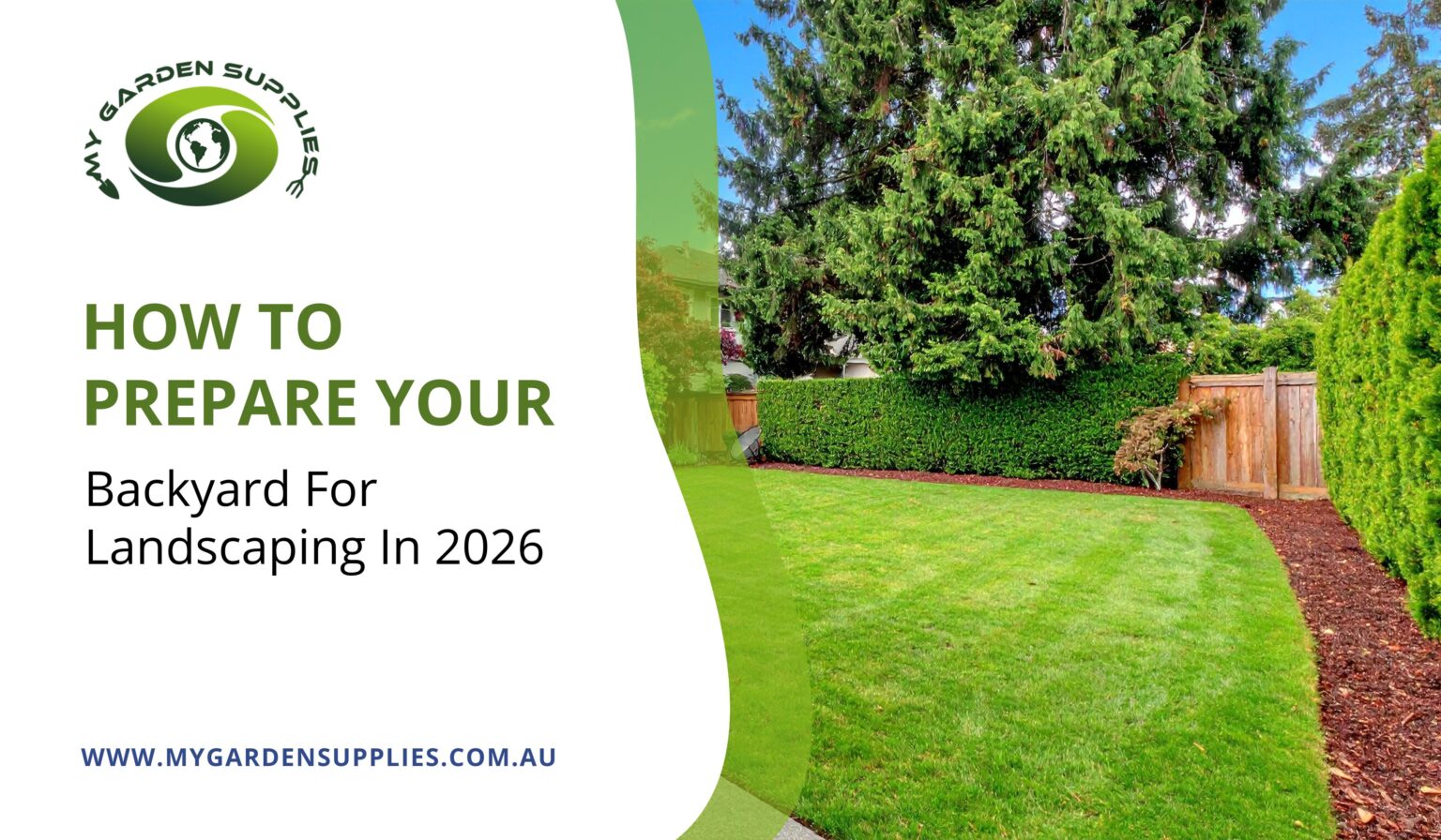 How To Prepare Your Backyard For Landscaping In 2026