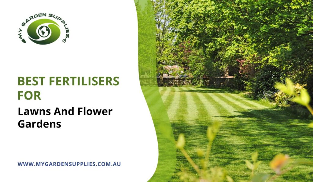 Best Fertilisers For Lawns And Flower Gardens