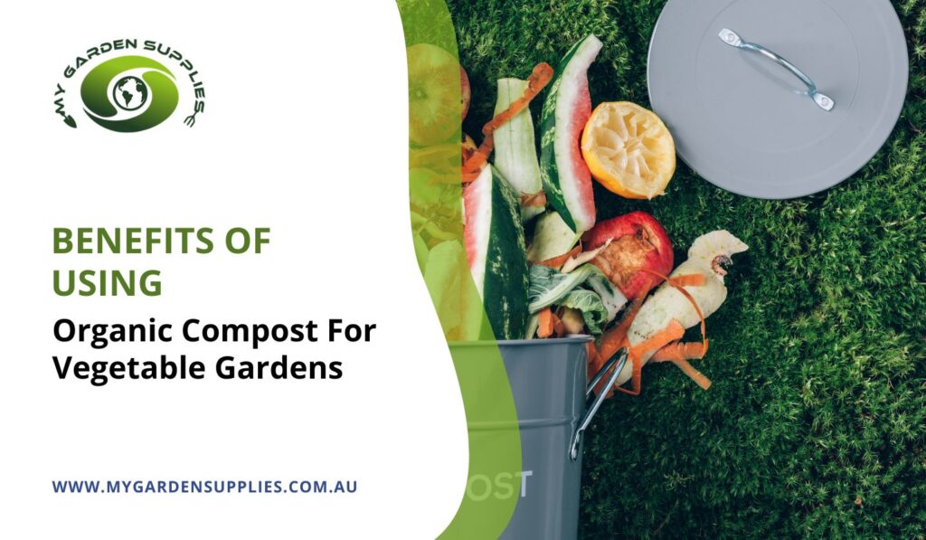 Benefits Of Using Organic Compost For Vegetable Gardens