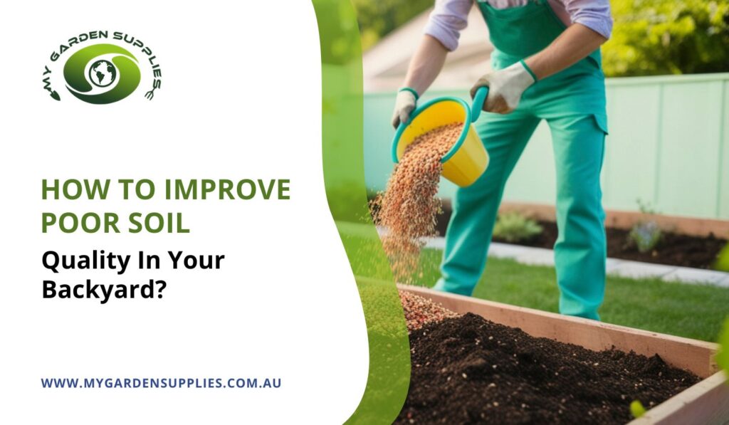 How To Improve Poor Soil Quality In Your Backyard