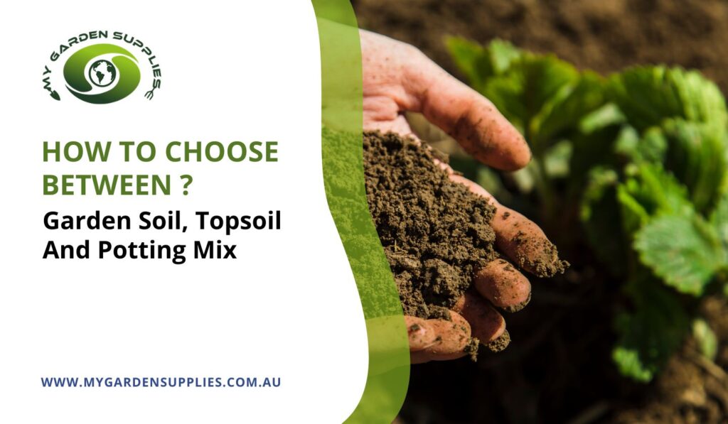 How To Choose Between Garden Soil, Topsoil And Potting Mix?